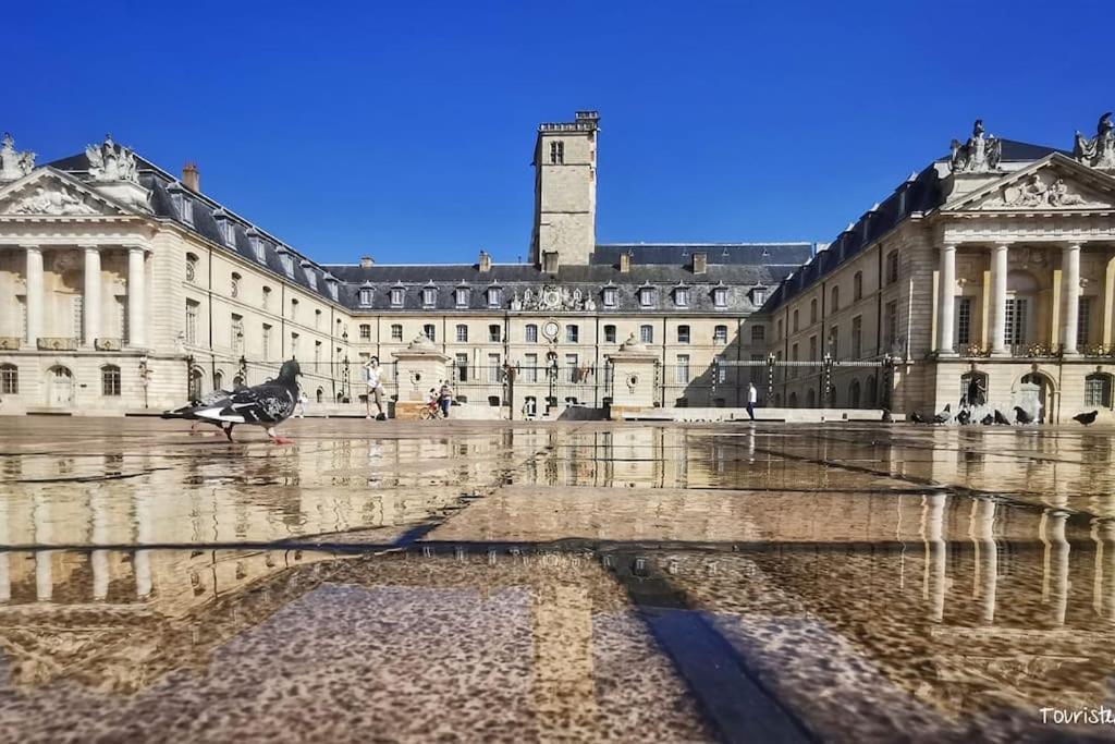 L'Eden, Apt 4 Prs Avec Jardin En Centre Ville Dijon Ngoại thất bức ảnh